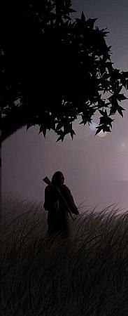 Владислав Коверев | Гатчина