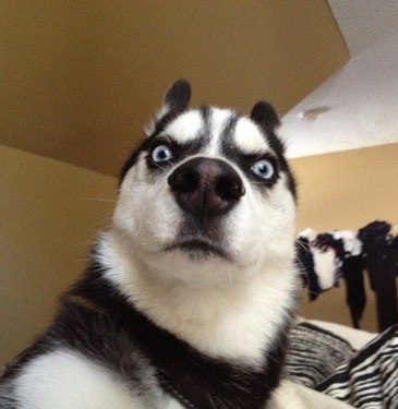 Анечка Курындина | Калуга