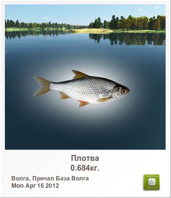 Александр Скрипкарь | Бабаево