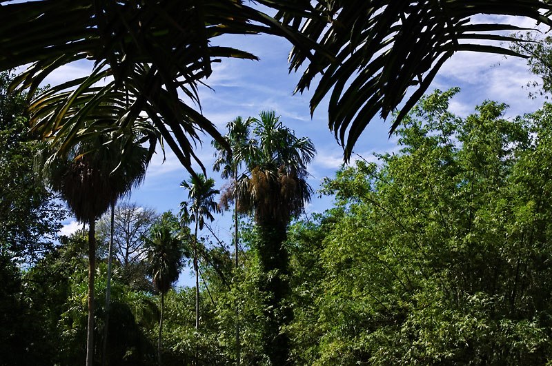 Виталий Югов | Киев