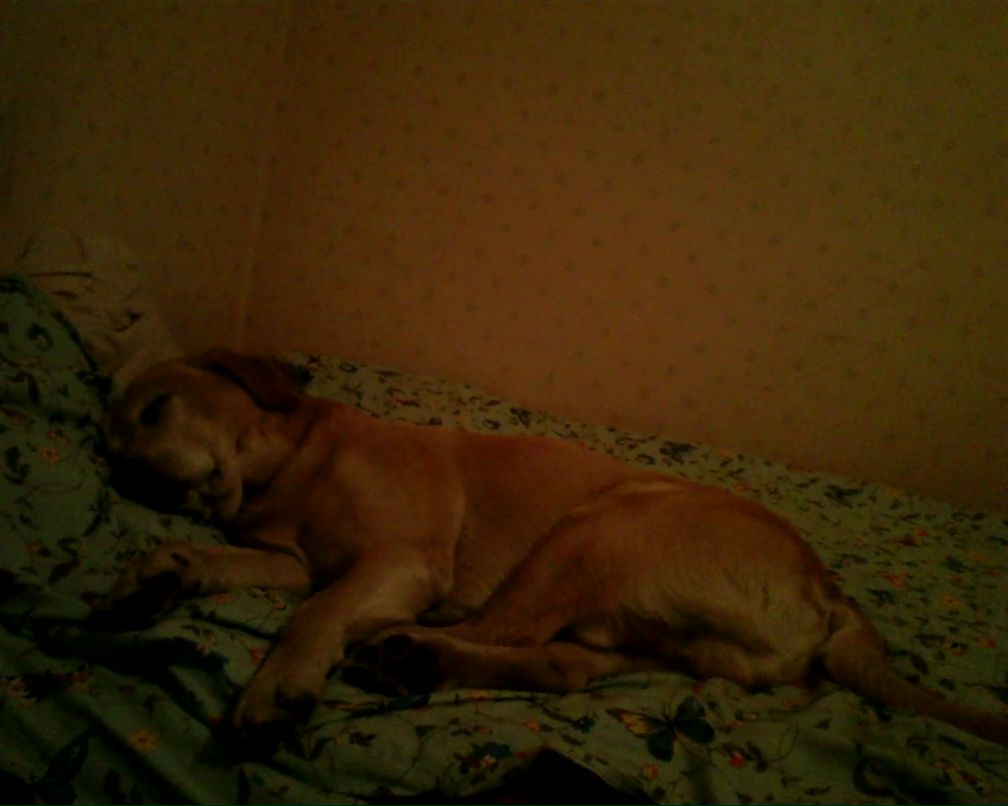 Алексей Александров | Санкт-Петербург