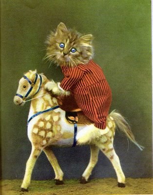 Ильюха Китакизука | Екатеринбург