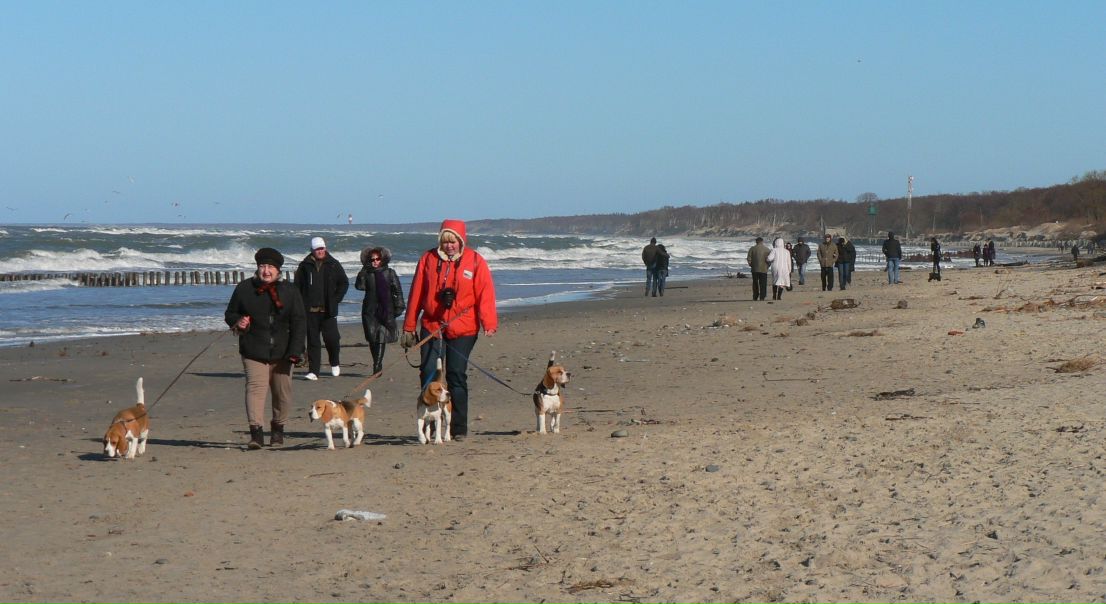 №25, Екатерина Кошель, Калининград №25, Екатерина Кошель, Калининград