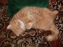 Фотография Александр Костылев