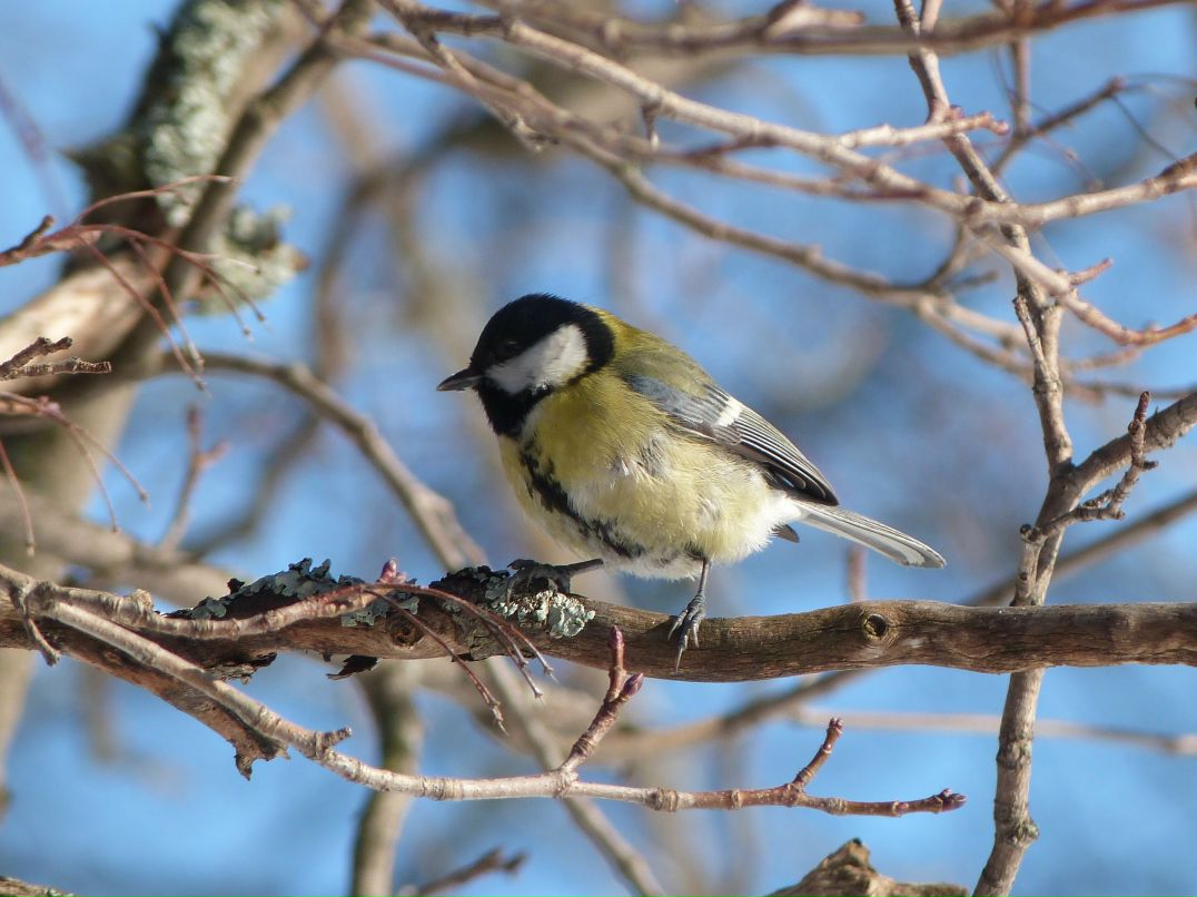 Инна Малмыга | Санкт-Петербург