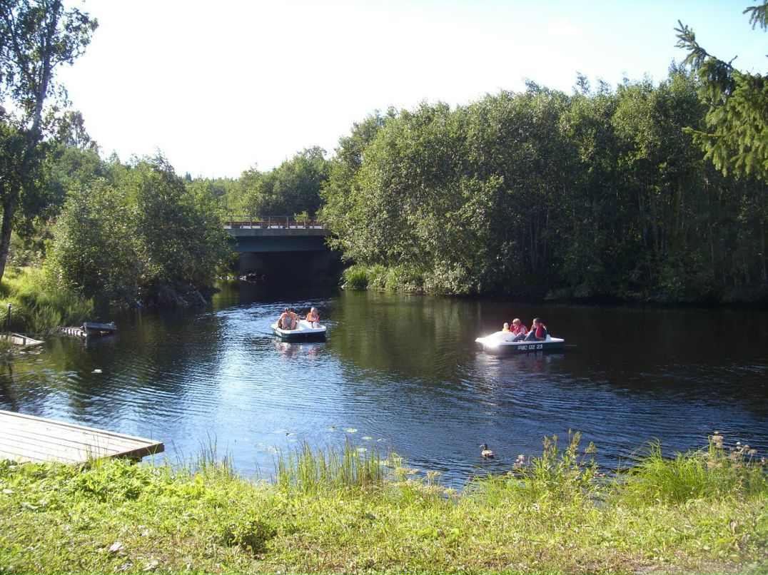 Ирина Панишева | Петрозаводск