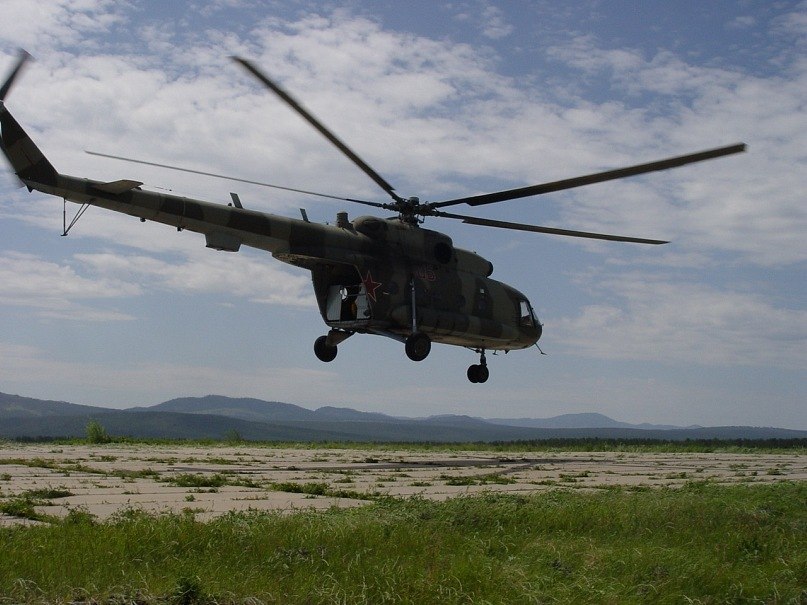 Николай Тимофеев | Стрелка