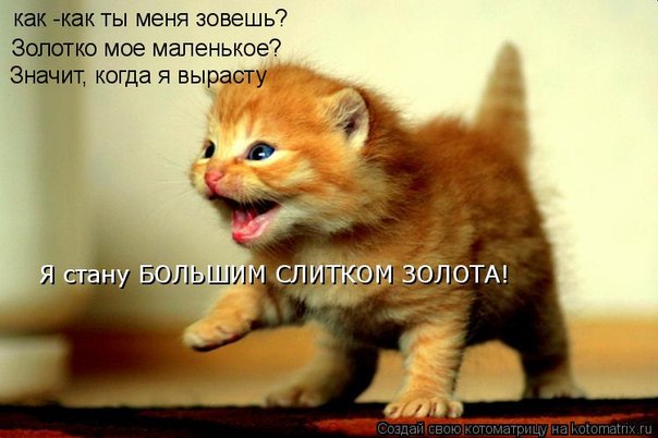 №17, Даша-Даськин Мархель №17, Даша-Даськин Мархель