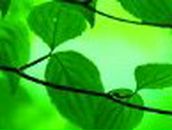 Юля Романенко | Кропивницкий / Кировоград