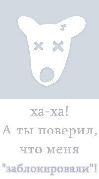 №11, Виктор Амиров №11, Виктор Амиров