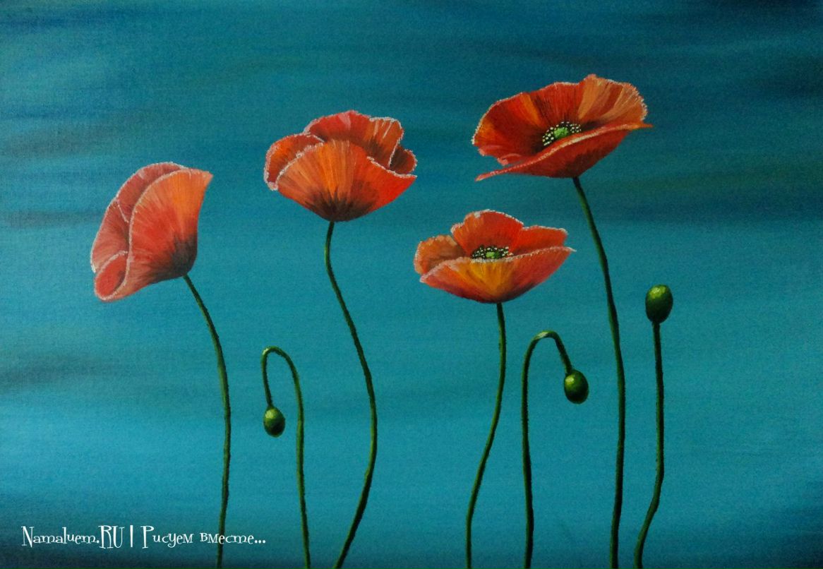 Алёна Хабирова | Уфа