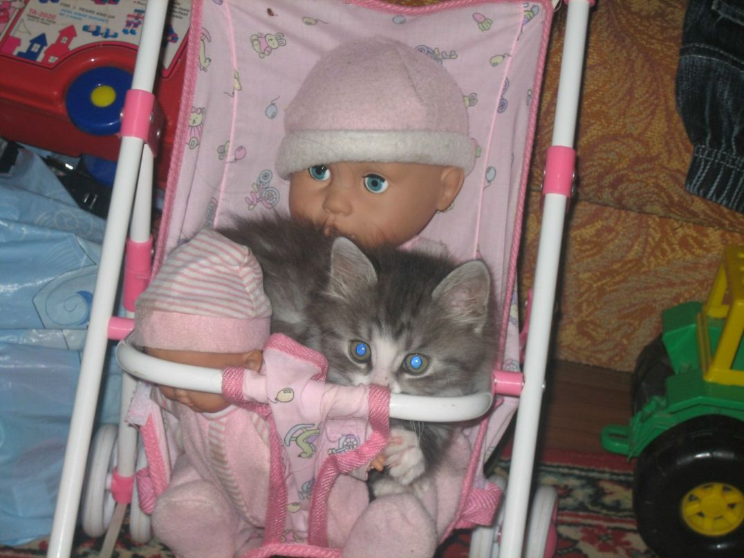 Ольга Асташова | Тверь