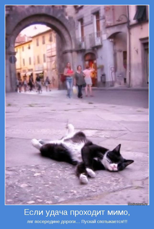 Каролина Сапко | Кривой Рог