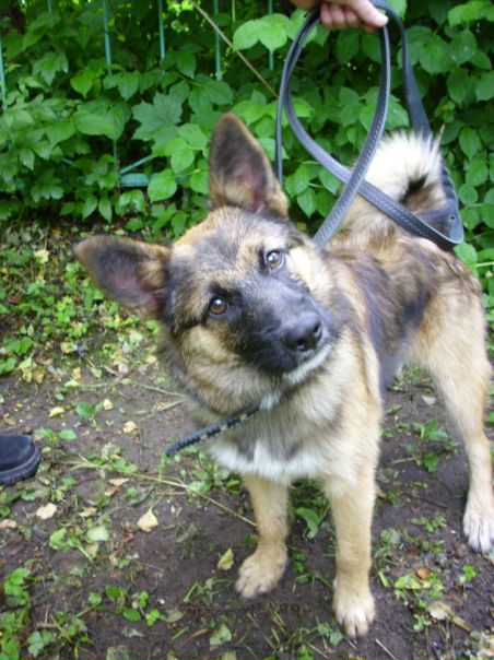 №43, Елена Захарова, Санкт-Петербург №43, Елена Захарова, Санкт-Петербург