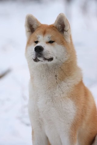 Christina Задеренко ☂ | 