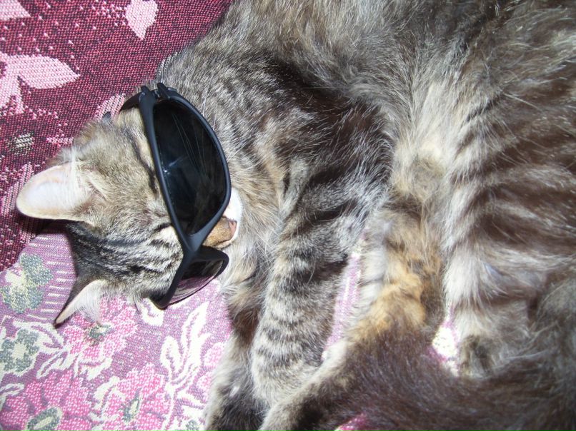 Александр Набока †LEX† | 