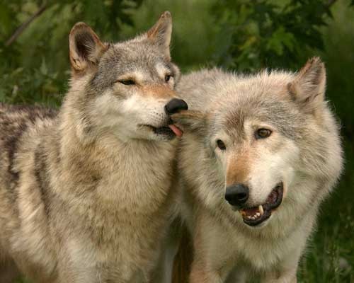 №59, Руслан Русинов, 38 лет, Москва, Россия №59, Руслан Русинов, 38 лет, Москва, Россия