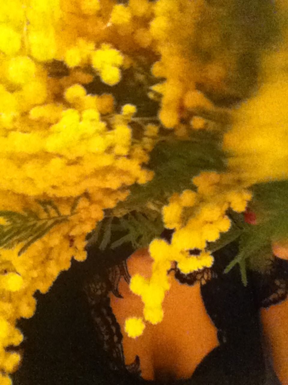 Екатерина Морозова | Санкт-Петербург