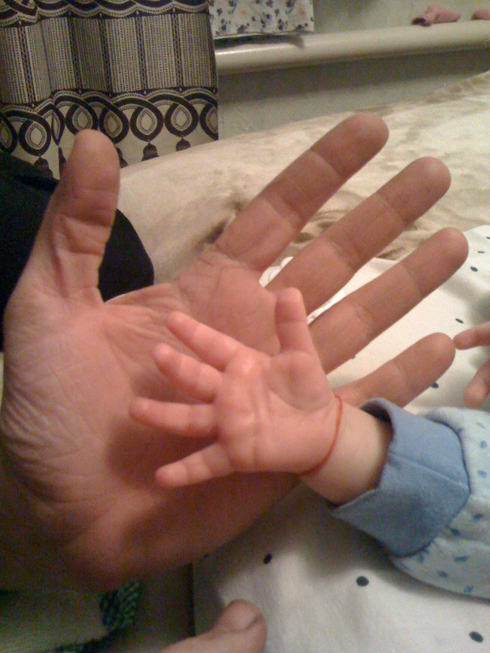 Виктор Чебанов Fox | Вознесенск