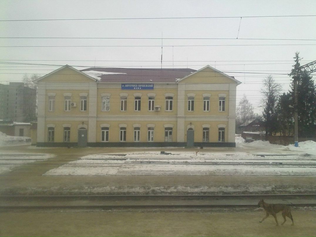 Вадим Шишкин | Краснодар