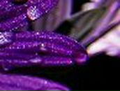 Марина Головачева (=СЧАСТЛИВАЯ=) | Петрозаводск