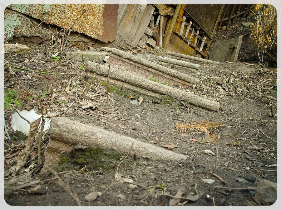 Катерина Будзинська | Киев