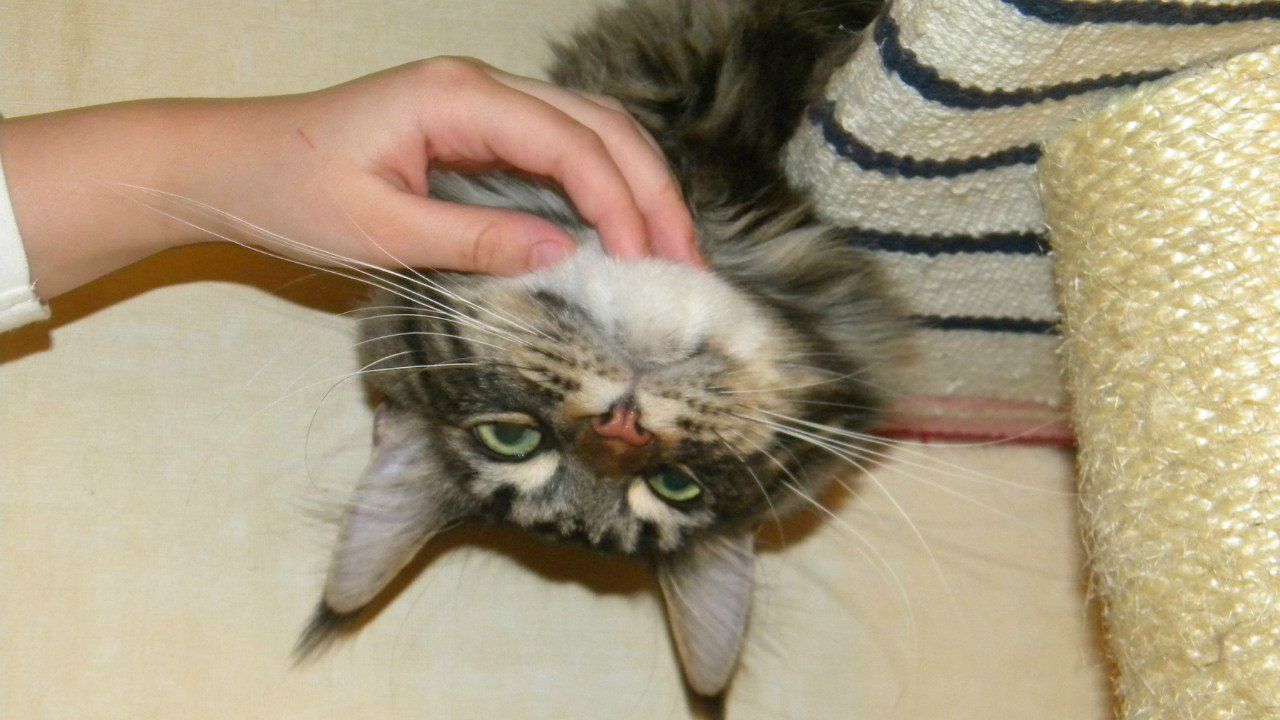 Ольга Абагова | Москва