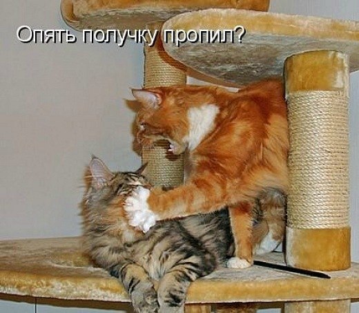 Мария Моисейчева | Киев