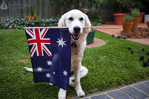 №5, Сергей Кушпела №5, Сергей Кушпела