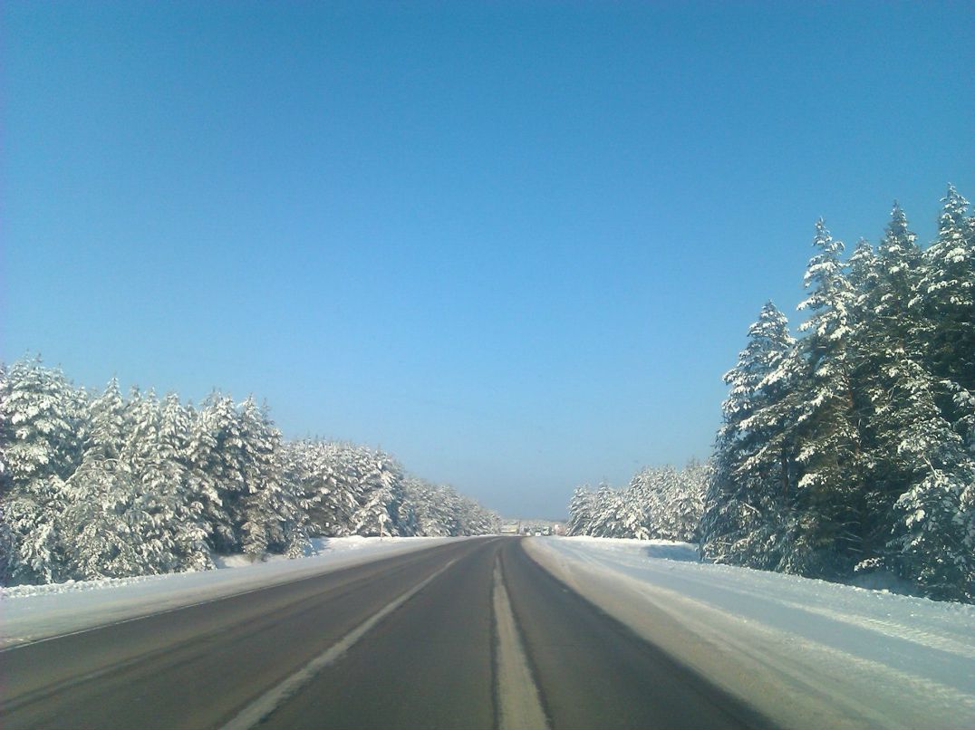 Антон Ахмаев | Москва