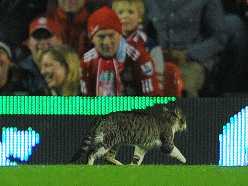 Алик Сардарян | Киев