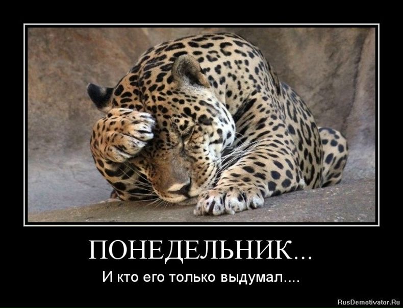 №61, Сергей Булавин, 38 лет, Тула №61, Сергей Булавин, 38 лет, Тула