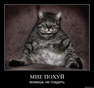 Denis Moiseev | Сочи