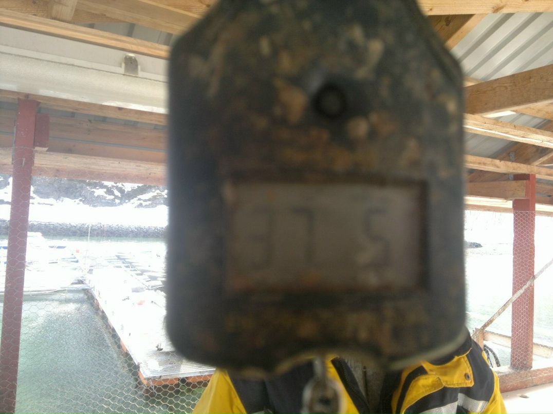 Виктор Арумс | Санкт-Петербург