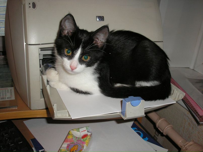 Маргарита Патюк | Москва