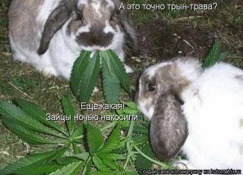 №77, Славик Турянский, 35 лет, Одесса №77, Славик Турянский, 35 лет, Одесса