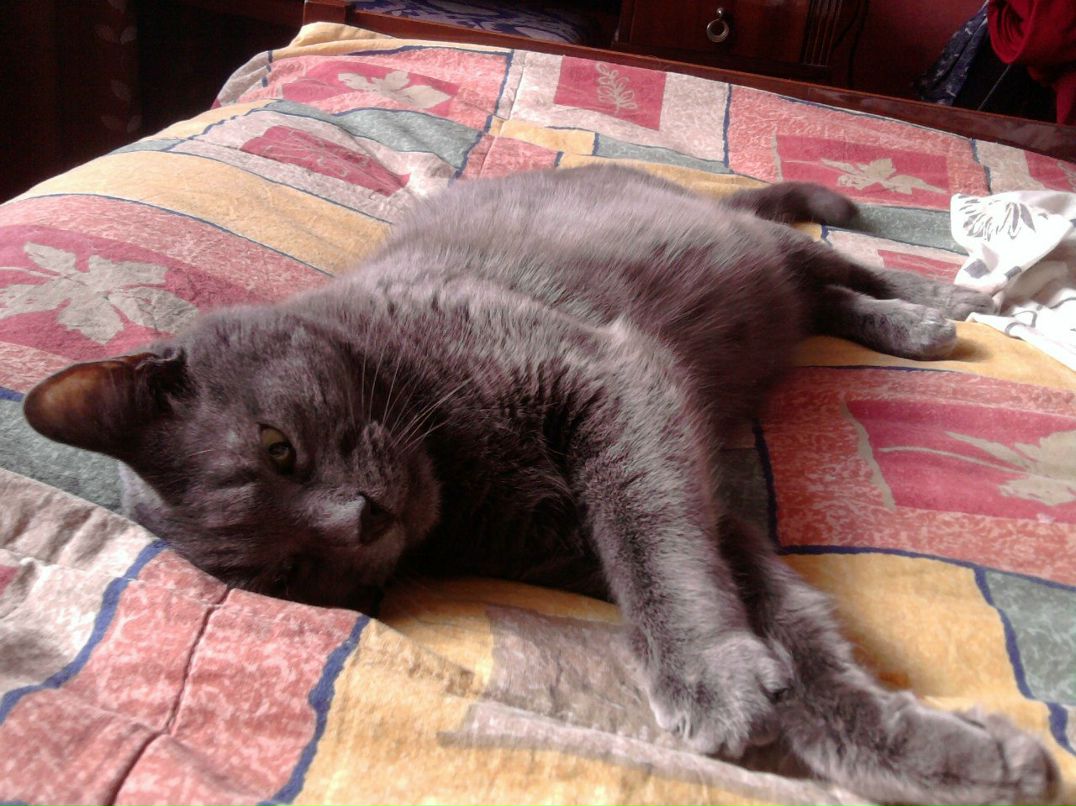 Вячеслав Сучков | Киев