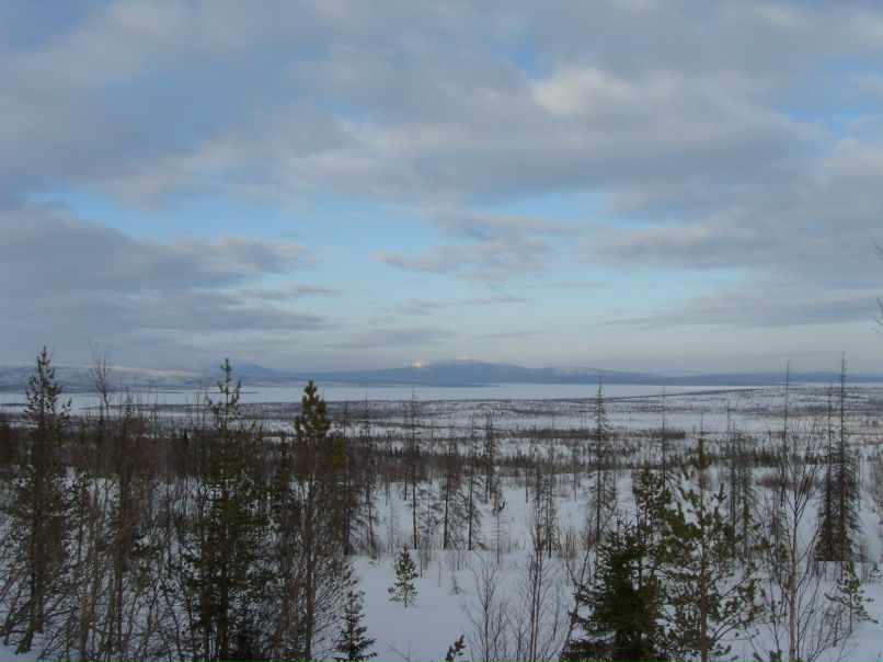 Валентина Щербакова | Мончегорск