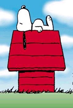 Олександр Корольов | Червоноград