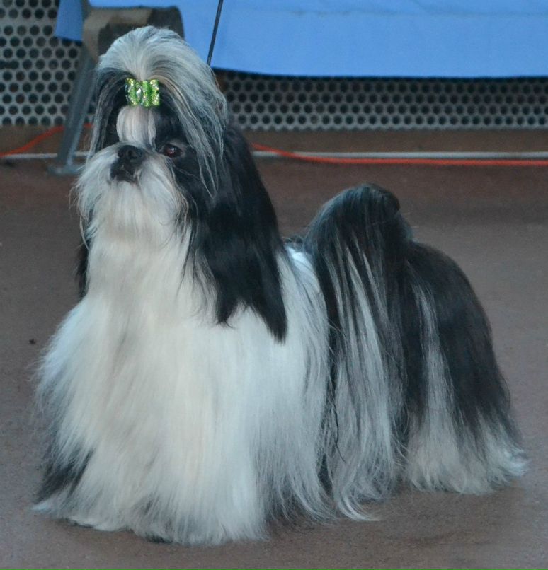 Оля Фартушна | Кривой Рог