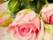 Alevtina Egorova | Харьков