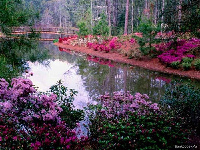 Зилара Арсланова | Уфа