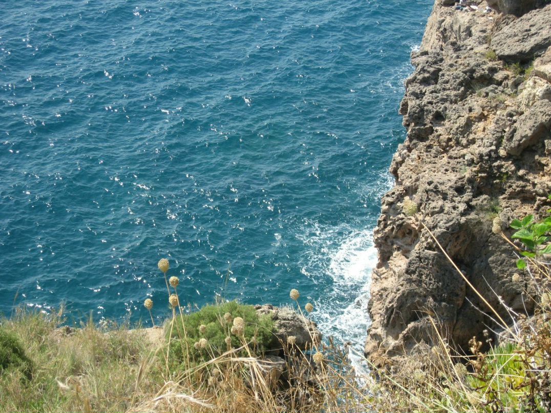 Виктор Фатерин | Новосибирск