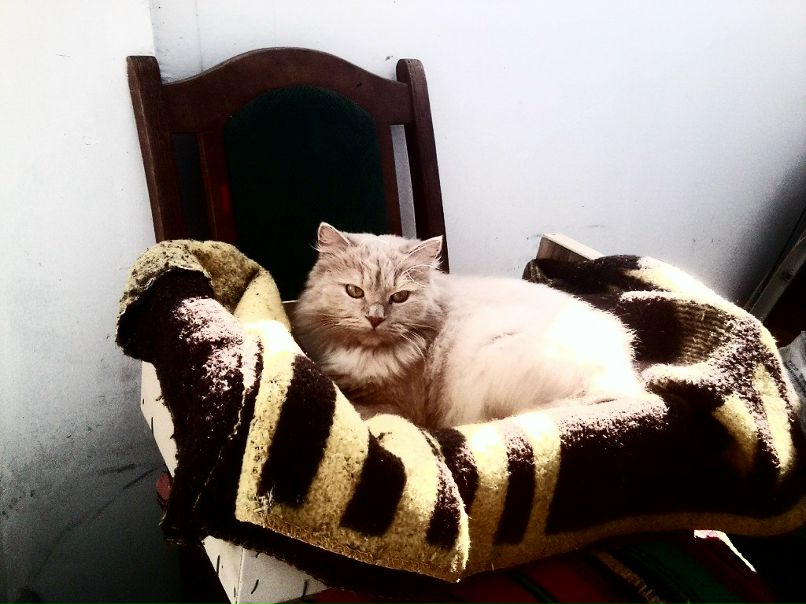 Настена Сергунова | Минск