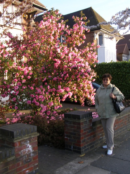 №37, Нина Бенедичук, 77 лет, Бердичев №37, Нина Бенедичук, 77 лет, Бердичев