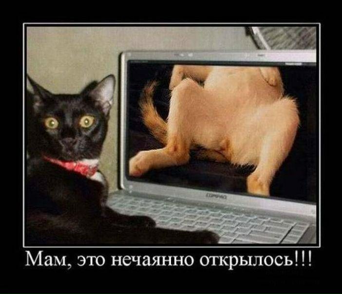 №67, Артем Маркелов, Волгодонск №67, Артем Маркелов, Волгодонск