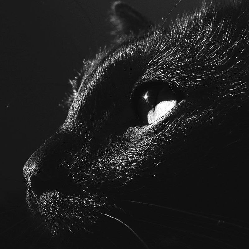 Юрий Китайчук | Одесса