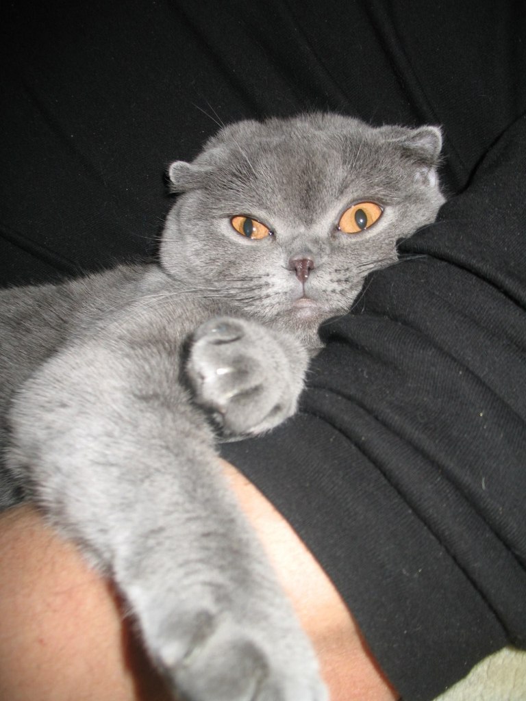 Ольга Овчинникова | Харцызск