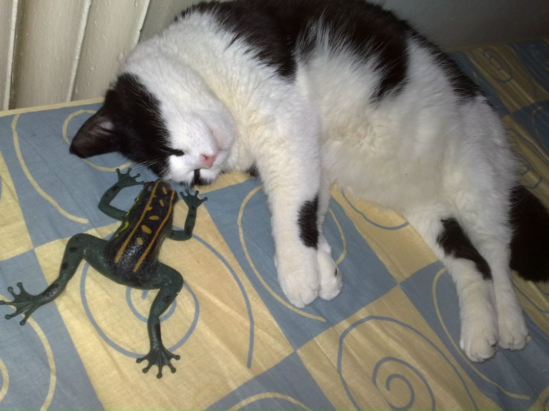 Антон Иньянов Рабикоф | 