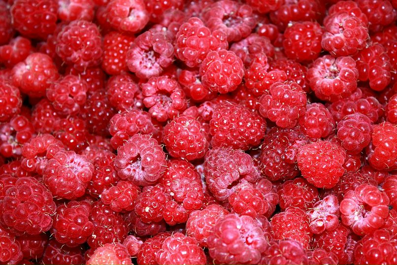 Natally Petrova | Москва